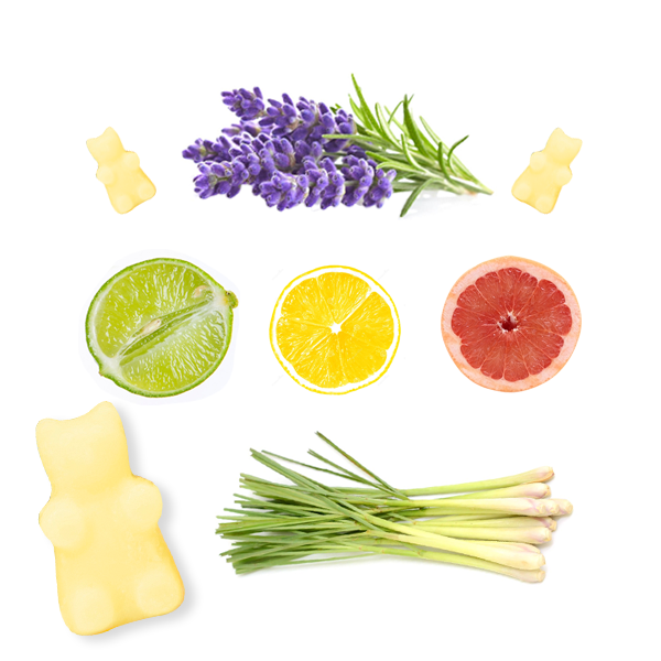 Lemon Verbena Wax Melts (2 oz)