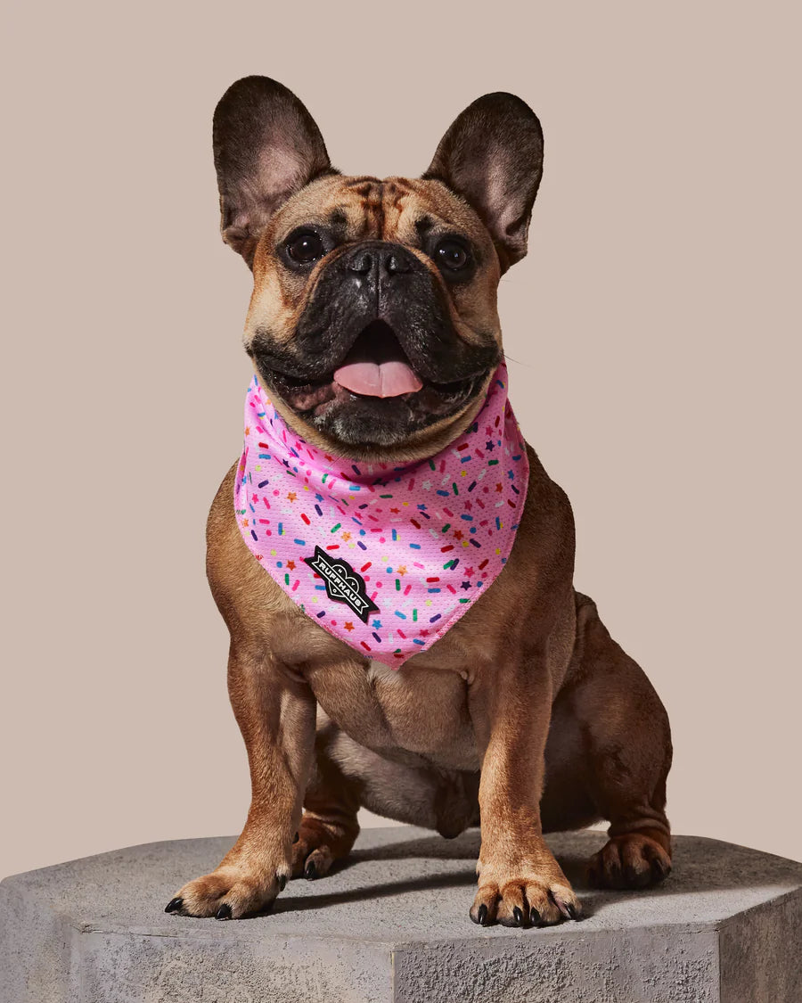 Sprinkle Me Pink Dog Cooling Bandana