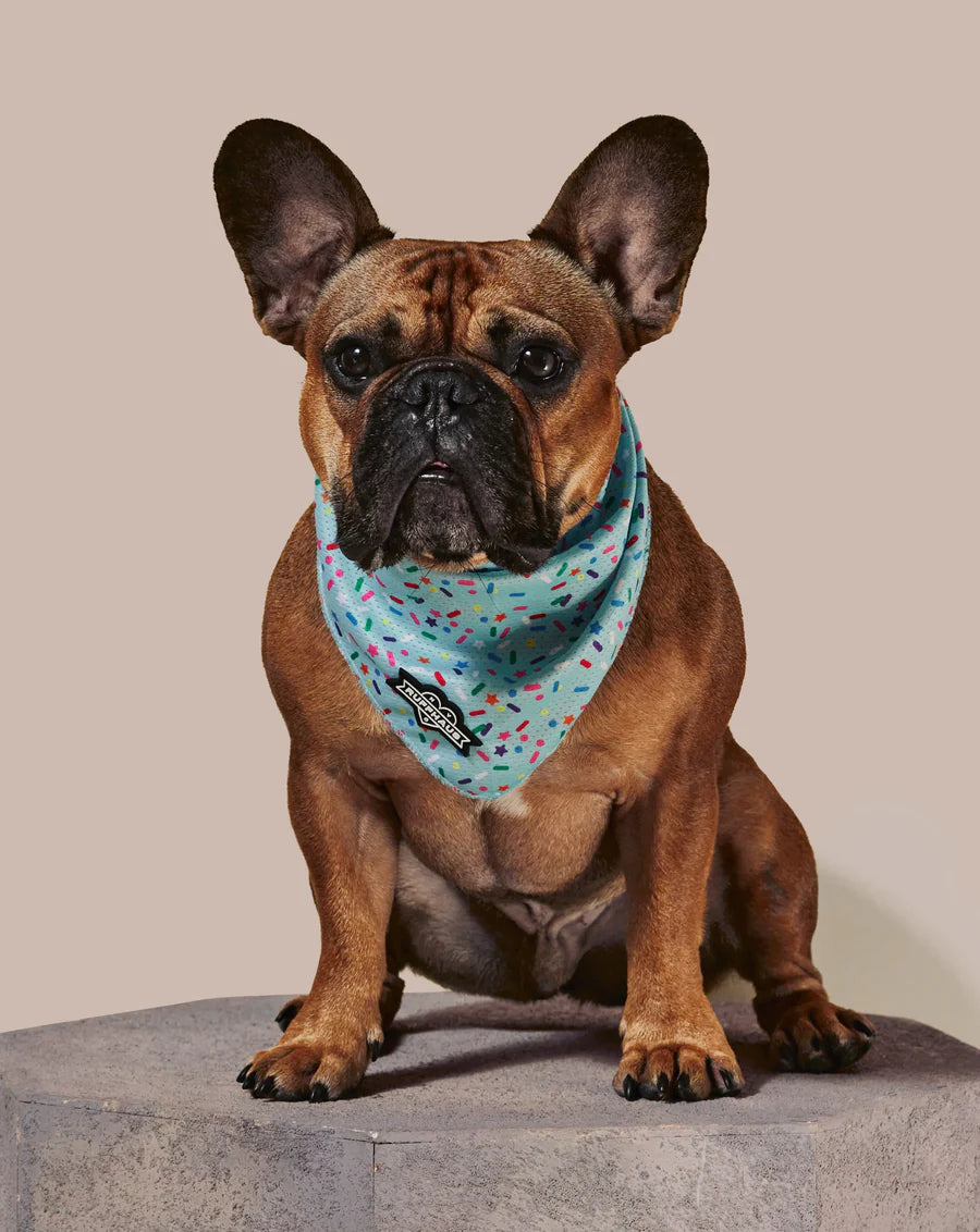 Sprinkle Me Blue Dog Cooling Bandana