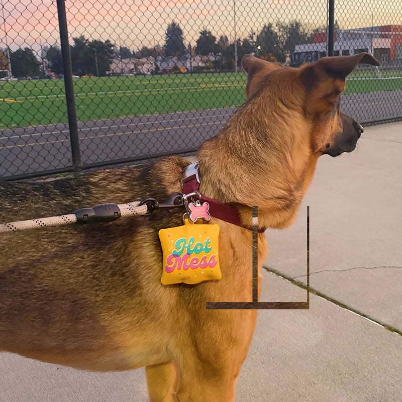 "Hot Mess" Dog Walking Bag Holder