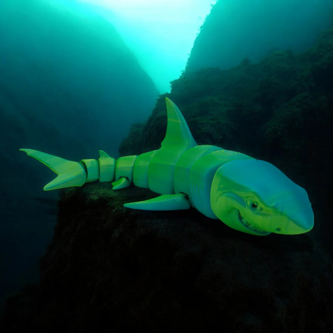 Jawsome Great White Shark