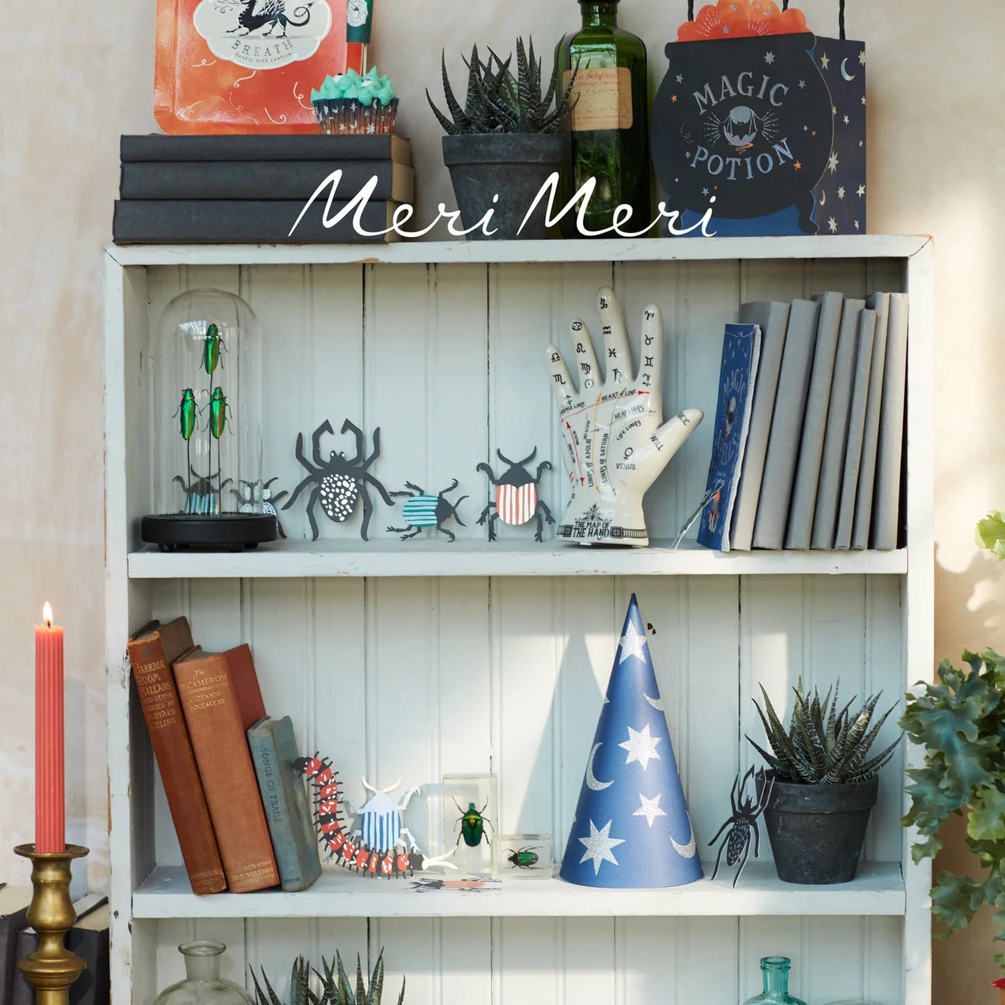 Wizard Party Hats & Wands