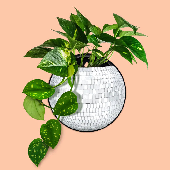 Plant Life Magnetic Disco Planter – Pop & Pour Party Co