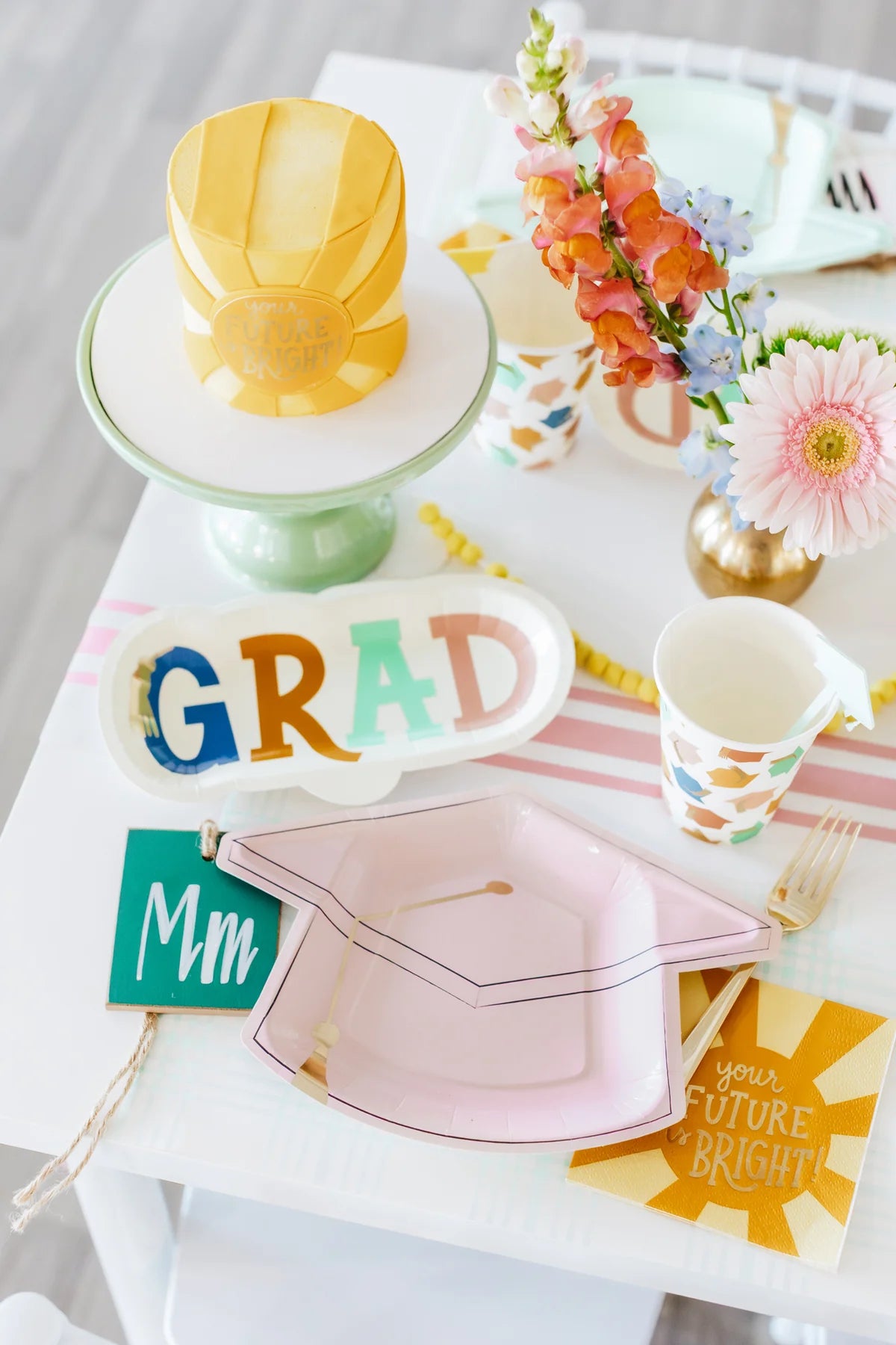 Colorful Grad Shaped Plates