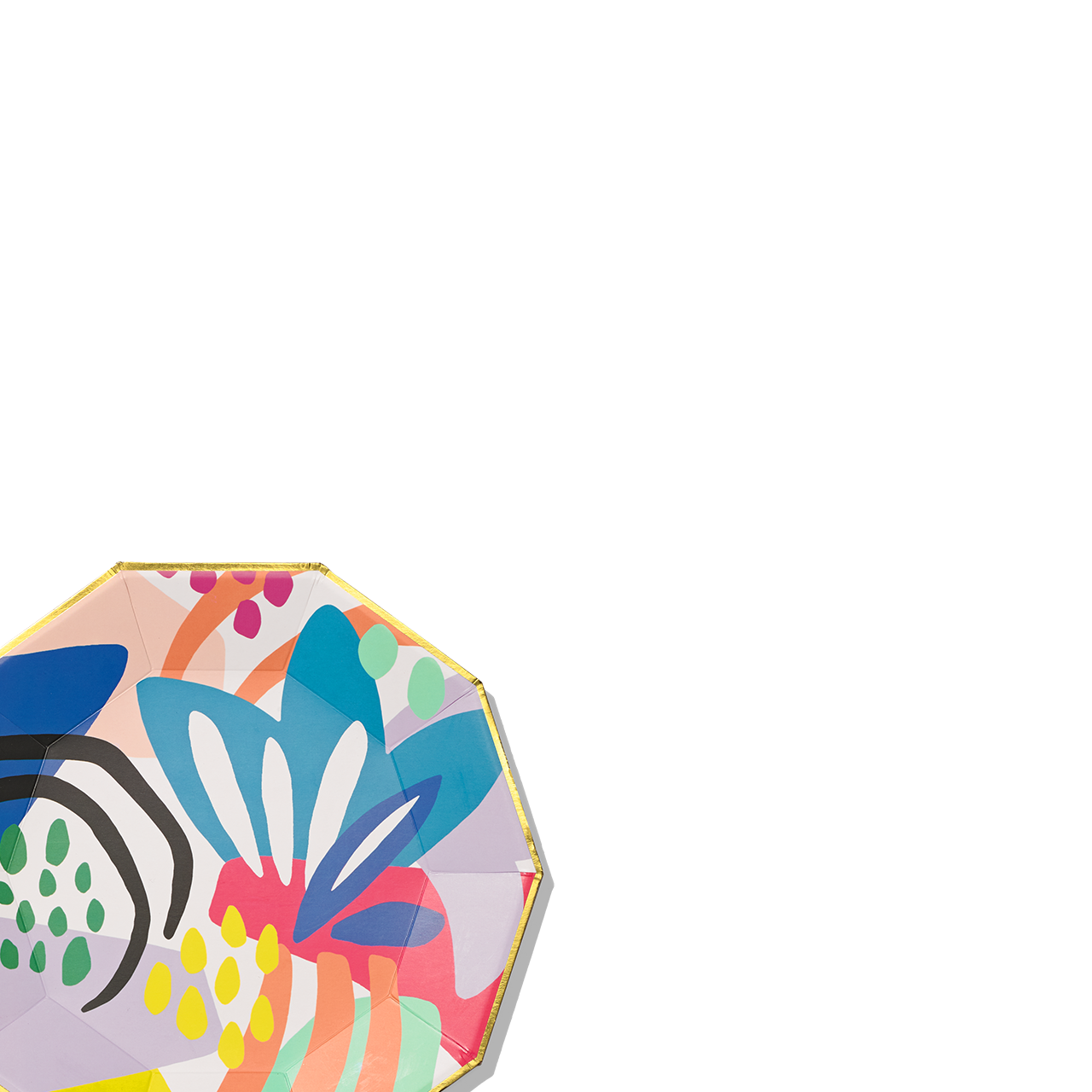 Matisse Large Plates (10 per pack)
