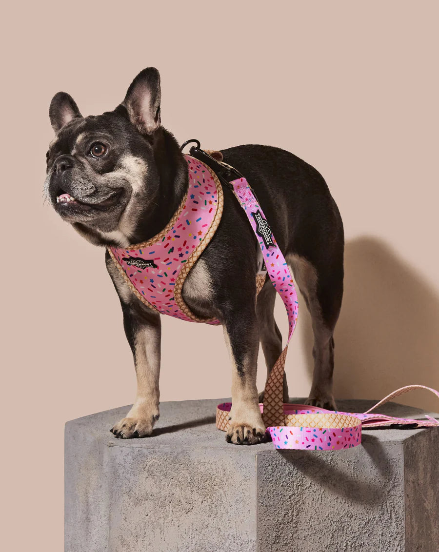 Sprinkle Me Pink Dog Leash