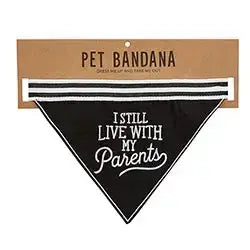 Pet Bandana: I Still Live With My Parents
