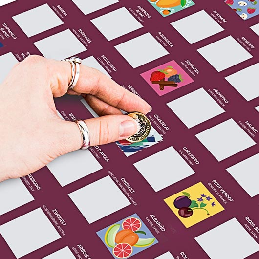 100 Wines Bucket List Scratch-Off Poster