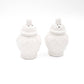 White Textured Ginger Jar Salt & Pepper Sets