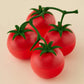 Italian Summer Vine Ripened Tomato Shot Glasses (Set of 4)