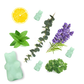 Eucalyptus Spearmint Wax Melts (3.6oz)