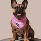 Sprinkle Me Pink Dog Cooling Bandana