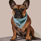 Sprinkle Me Blue Dog Cooling Bandana