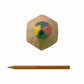 Rainbow Wooden Pencil