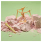 Fossil Finds Excavation Kit with Dino Figure in Gift Box