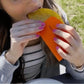 Taco Tamer  - Set of 4
