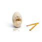 Deep Sea Shark Dig Fossil Kit