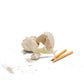 Deep Sea Shark Dig Fossil Kit