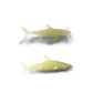 Deep Sea Shark Dig Fossil Kit