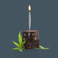 Lit! Cake Candles