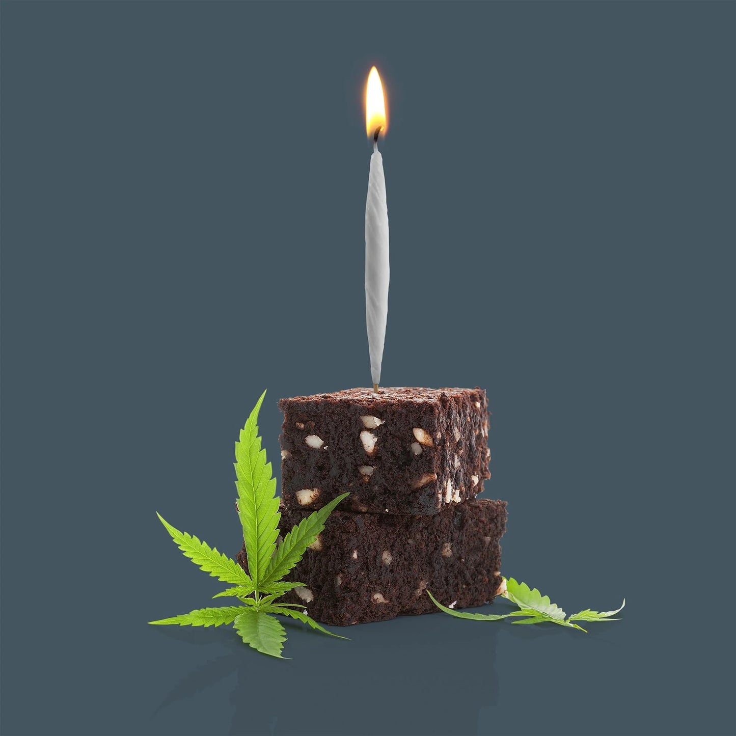 Lit! Cake Candles