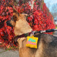 "Hot Mess" Dog Walking Bag Holder