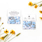 Wildflower Seed Confetti Refill: Frost/Powder/Concrete
