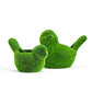 Sweet Tweet Faux Moss Cachepot/Planters (Multiple Sizes Available)