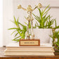 "Rootin' For Ya" Trophy