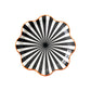 Black & White Starburst Wave Plate