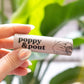 Island Coconut Plant-Based Lip Balm