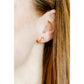 Birthday Cake Screwback Stud Earrings