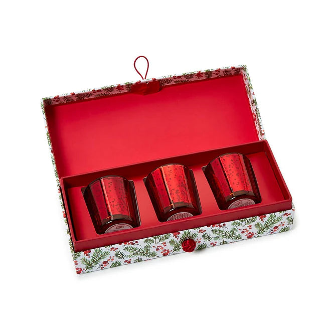 Merry Berry Set of 3 Frasier Fir Scented Candles in Gift Box