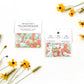 Wildflower Seed Confetti Refill: Frost/Coral/Mint