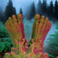 Bigfoot (Large)