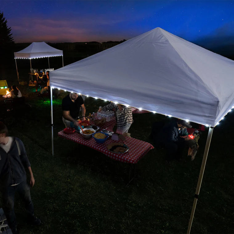 Canopy Brightz
