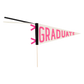 Pink Graduate Felt Pennant Banner