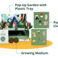 Chai Fairy Garden Kit