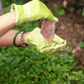 Edible Flower Seed Packets