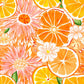 Oranges Bottle Wraps (Mini La Marca Edition - Set of 6)