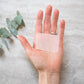 Plant Addict Single-Use Soap Sheets