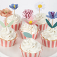 Flower Garden Cupcake Kit