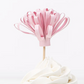 Flower Garden Cupcake Kit