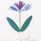 Flower Garden Cupcake Kit