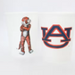 Reusable Party Cups: Aubie