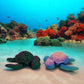 Seagrass Sea Turtle (Small)