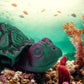 Seagrass Sea Turtle (Small)