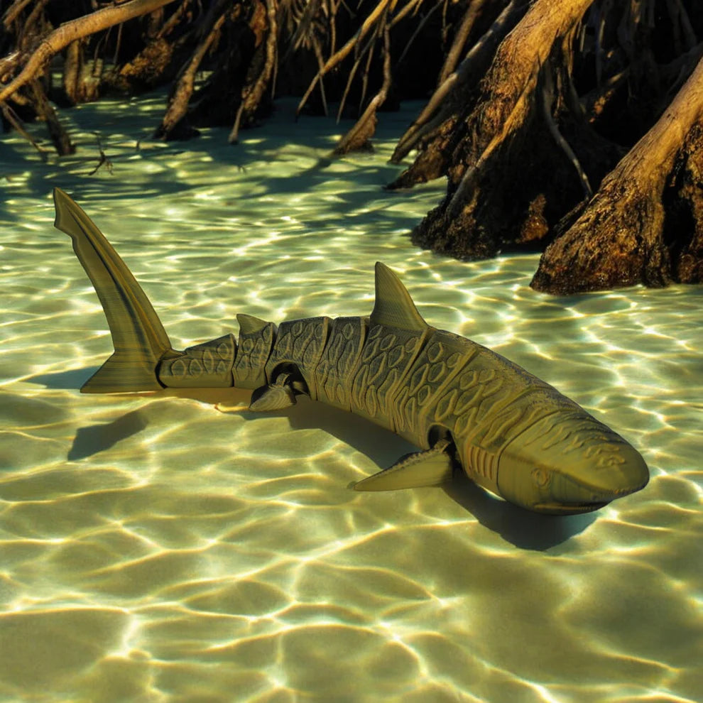 Stripebite Tiger Shark