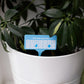 Thirsty AF Weekly Plant Watering Tags