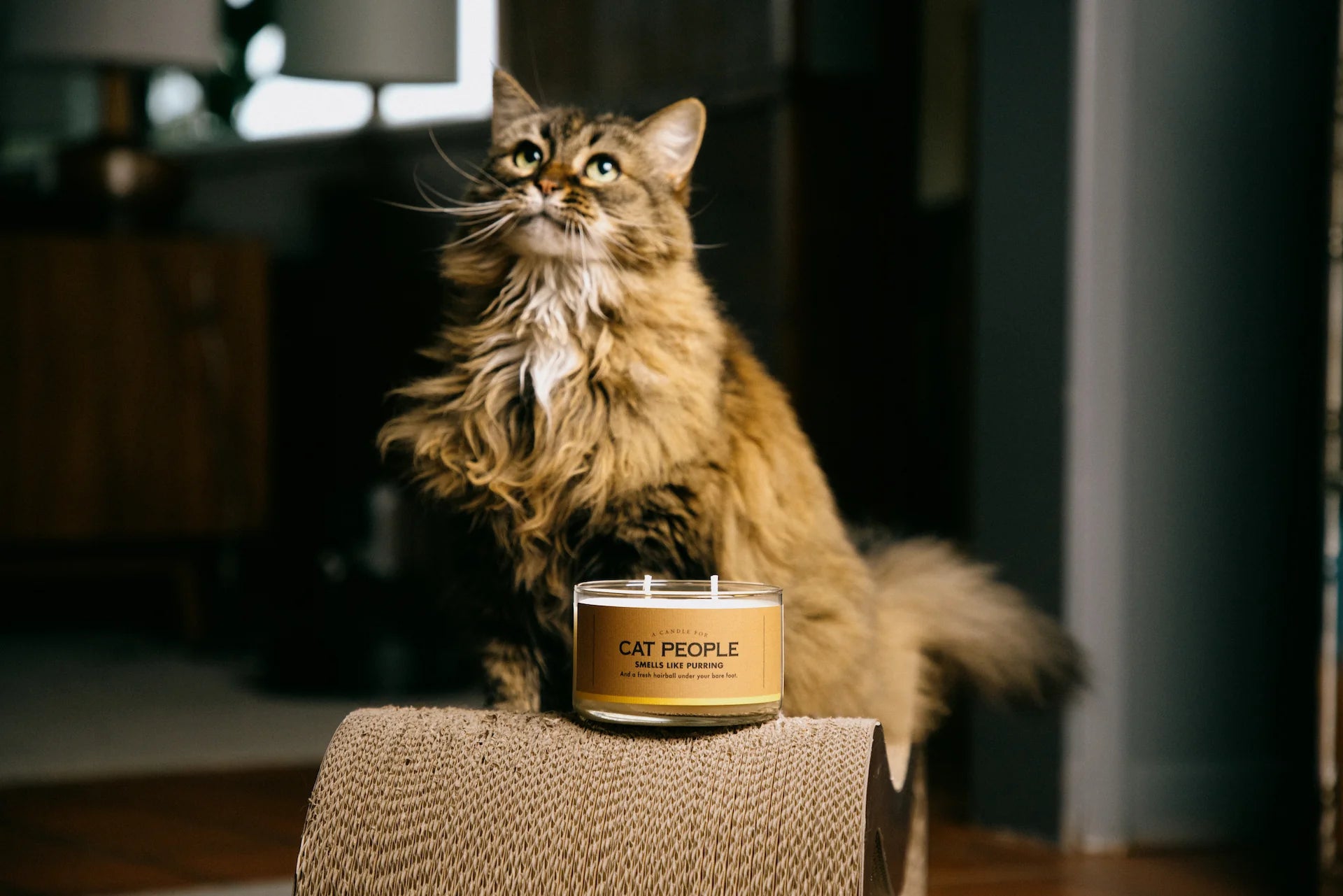 A Candle for Cat People - Thumbnail 2